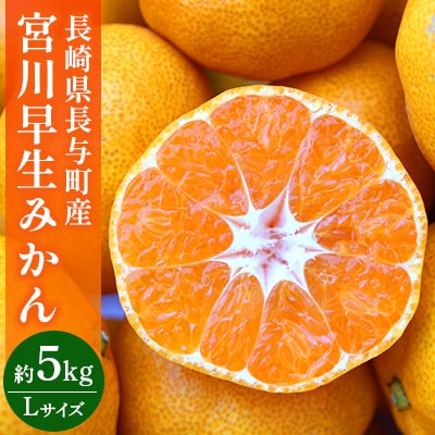 長崎県長与町産　宮川早生みかん　Lサイズ　約5kg