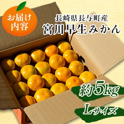 長崎県長与町産　宮川早生みかん　Lサイズ　約5kg