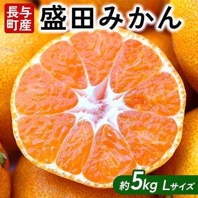 長崎県長与町産　盛田みかん　Lサイズ　約5kg