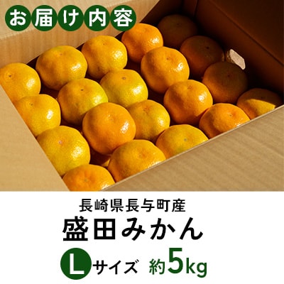 長崎県長与町産　盛田みかん　Lサイズ　約5kg