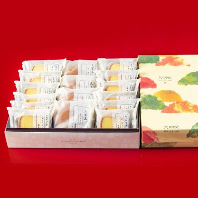 【毎月定期便】文明堂 詰合せ2号(カステラ巻12個、三笠山4個)(長与町)全3回