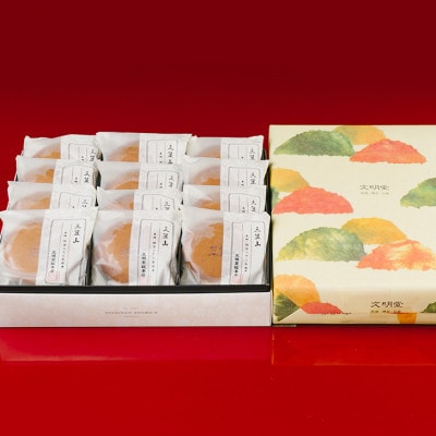 【毎月定期便】文明堂 三笠山  12個入(長与町)　全3回