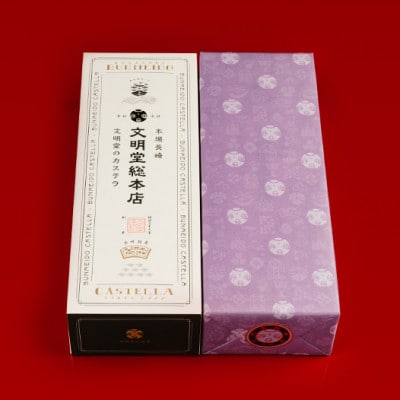 【毎月定期便】文明堂 長崎カステラ1号 (1号10切入×1本入)(長与町)全3回