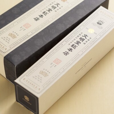 【毎月定期便】文明堂 長崎カステラ1.2号(0.6号10切入×2本入)(長与町)全6回