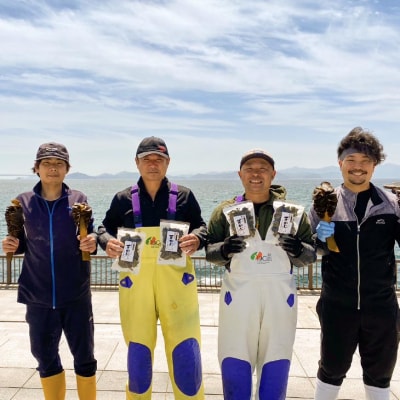 【中尾満男水産】【漁師直送】天日干しめかぶ30g×7袋【淡路島鳴門海峡原産】