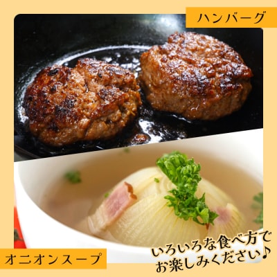 玉ねぎ 7kg 家庭用 先行受付 野菜 高知 大小混合 ke-0037