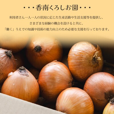 玉ねぎ 15kg 家庭用 先行受付 野菜 高知 大小混合 ke-0039