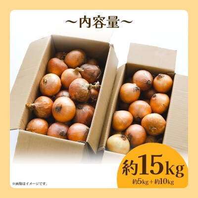 玉ねぎ 15kg 家庭用 先行受付 野菜 高知 大小混合 ke-0039