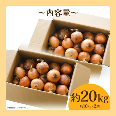玉ねぎ 20kg 家庭用 先行受付 野菜 高知 大小混合 ke-0040