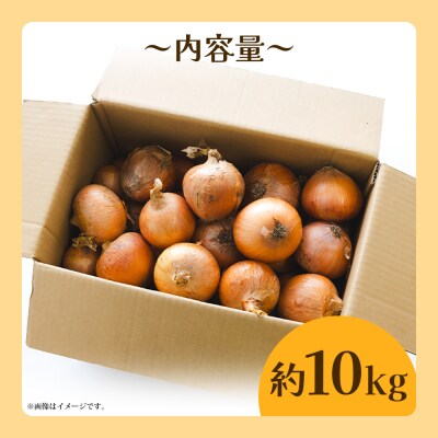 玉ねぎ 10kg 家庭用 先行受付 野菜 高知 大小混合 ke-0038