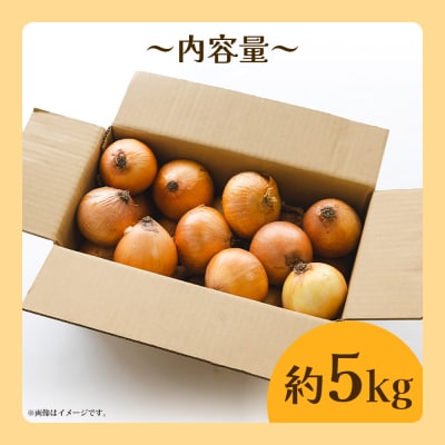 玉ねぎ 5kg 家庭用 先行受付 野菜 高知 大小混合 ke-0036