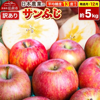 りんご【26年12月発送】サンふじ【訳あり】約5kg|24_nng-120501ag