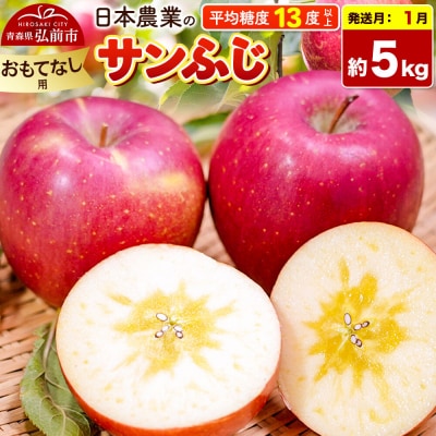 りんご【27年1月発送】サンふじ【おもてなし用】約5kg|24_nng-120501bh