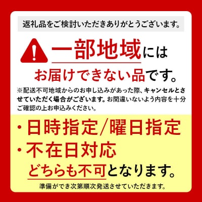 りんご【27年1月発送】サンふじ【おもてなし用】約5kg|24_nng-120501bh