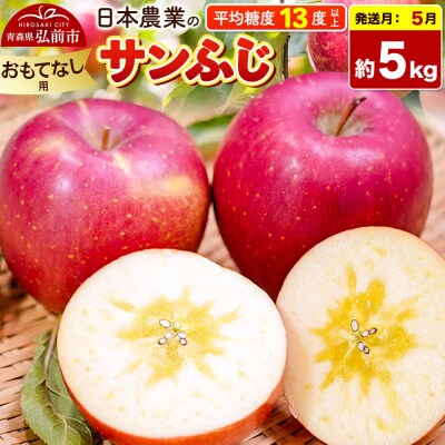 りんご【27年5月発送】サンふじ【おもてなし用】約5kg【CA貯蔵】|24_nng-120501bl