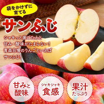 りんご【27年1月発送】サンふじ【贈答用】約10kg|24_nng-121001ch