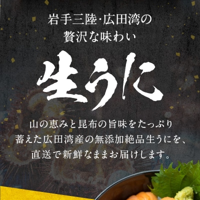 三陸産 生うに 500g(250g×2パック) 塩水パック 無添加 ミョウバン不使用