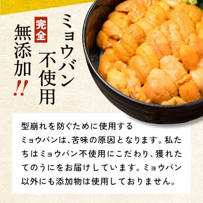 三陸産 生うに 500g(250g×2パック) 塩水パック 無添加 ミョウバン不使用
