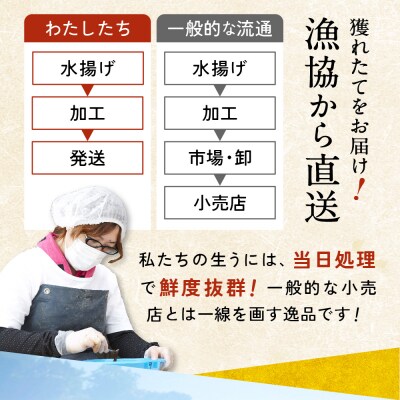 三陸産 生うに 500g(250g×2パック) 塩水パック 無添加 ミョウバン不使用