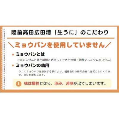 三陸産 生うに 100g 塩水パック 獲れたその日に出荷 ウニ 雲丹 天然 濃厚 旬