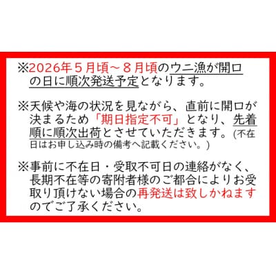 三陸産 生うに 100g 塩水パック 獲れたその日に出荷 ウニ 雲丹 天然 濃厚 旬