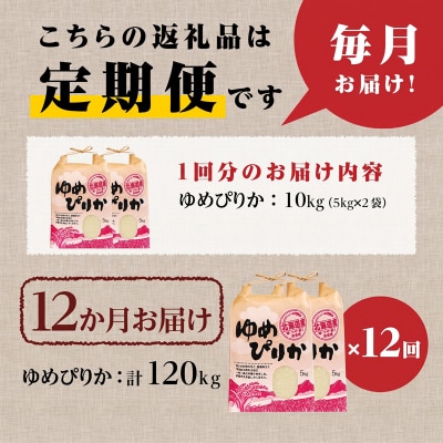 《令和7年産》12ヶ月連続お届け!ゆめぴりか10kg 特A ブランド米 米 白米 北海道 定期便