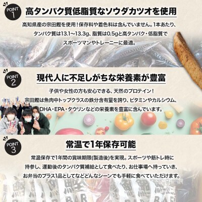 【3回定期便】プロテインバー 鰹BAR for Sports 塩レモン味 50本【J00208 】