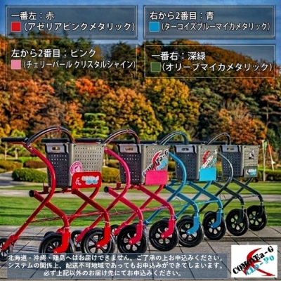 アクティブライフ・ファッショナブル・モビリティ「CLo-Po(くろぽ)」.SFE002