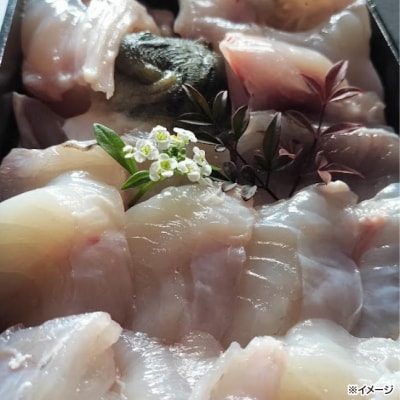 熟成とらふぐ【冬の王】(四人前)配送:2月28日まで