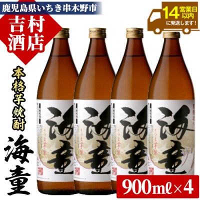 芋焼酎「海童(かいどう)」900ml×4本 芳醇軽快