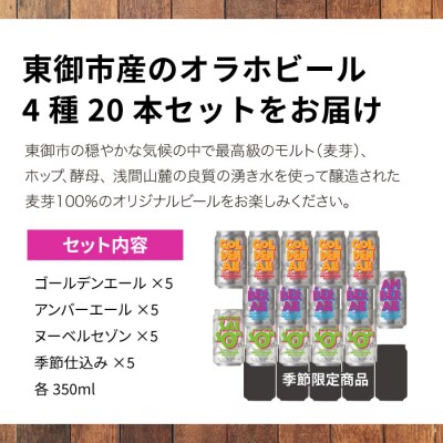 【クラフトビール】4種飲み比べ20本セット