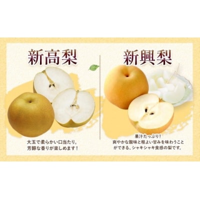 【2026年先行予約】熊本県氷川町産 吉野梨 品種おまかせ 約2kg (2～16玉前後)