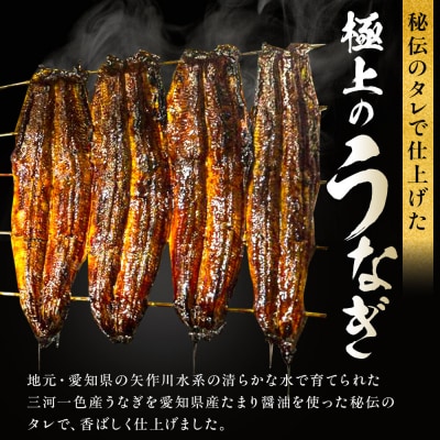 極上三河一色産 うなぎ蒲焼 2尾 熱田蓬莱軒直伝 鰻 蒲焼き 国産 真空パック 冷凍 秘伝タレ