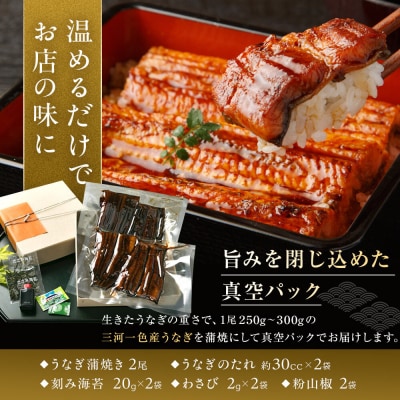極上三河一色産 うなぎ蒲焼 2尾 熱田蓬莱軒直伝 鰻 蒲焼き 国産 真空パック 冷凍 秘伝タレ