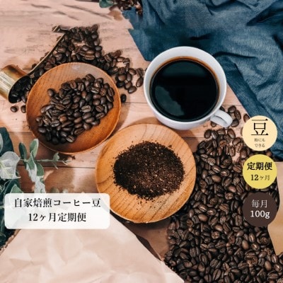 【定期便】 カフェ・アダチ コーヒー豆 飲み比べ 毎月100g×12ヶ月TB-011