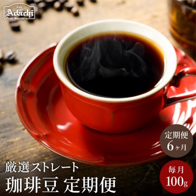 【定期便】カフェ・アダチ 厳選ストレートコーヒー豆 毎月100g×6ヶ月TB-010