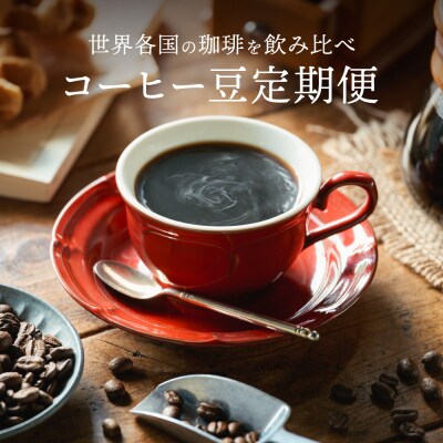 【定期便】カフェ・アダチ 厳選ストレートコーヒー豆 毎月100g×6ヶ月TB-010