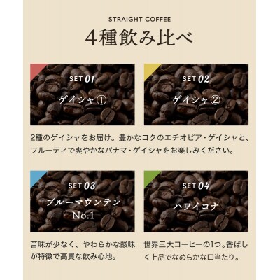 【定期便4ヶ月】高級コーヒー 毎月1種100g×4ヶ月TB-007