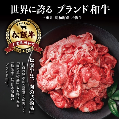 家庭用 松阪牛 小間切れ 200g×5P SS114