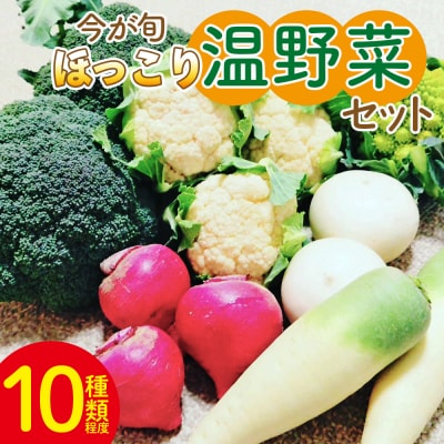 野菜セット まさに旬 ほっこり温野菜セット sy-0006