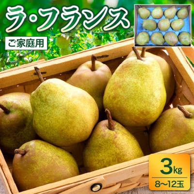 西洋梨(ラ・フランス)3kg　ご家庭用　0017-2615