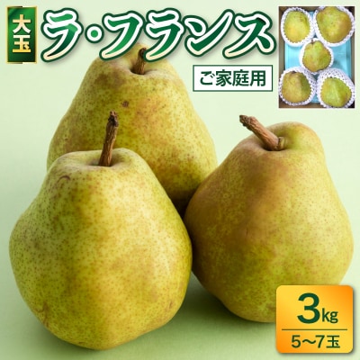 西洋梨(ラ・フランス)　3kg　大玉　ご家庭用　0017-2616