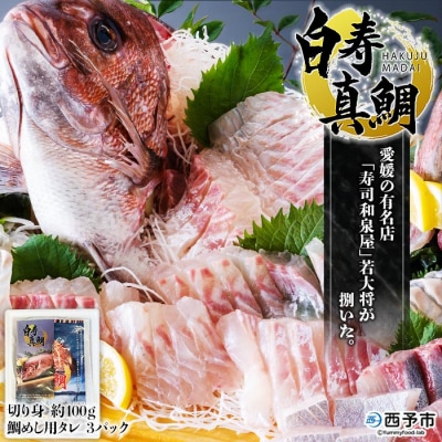 <愛媛の有名店「寿司和泉屋」若大将が捌いた「白寿真鯛」と秘伝のタレ>　鯛めし　郷土料理　海鮮　魚介