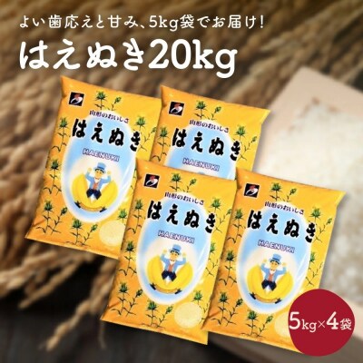 令和7年産 はえぬき20kg(5kg×4袋)　0059-2524