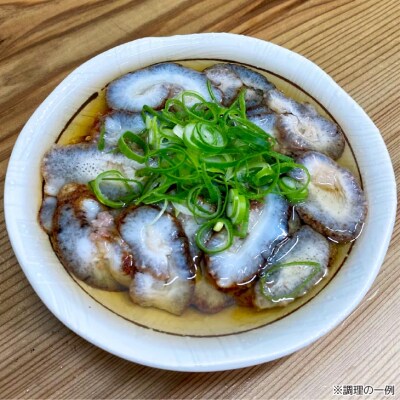 【花光】【あわじ島冬の珍味!身の柔らかい赤ナマコを活きたまま発送】淡路島産 赤なまこ(活)約1.5k