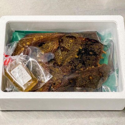【花光】【あわじ島冬の珍味!身の柔らかい赤ナマコを活きたまま発送】淡路島産 赤なまこ(活)約1.5k