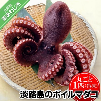 【花光】淡路島のボイルマダコ(丸ごと1匹)【冷凍】