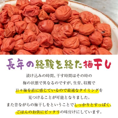 昔ながらの『南高梅』梅干し5パック　[1367]