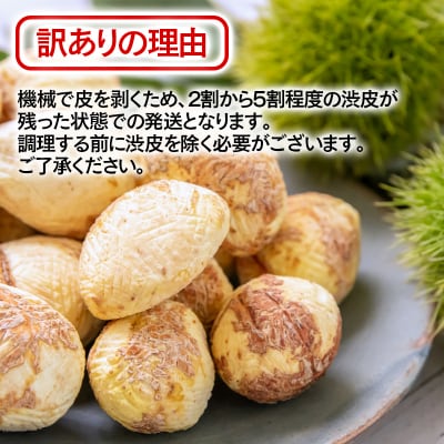 【訳あり】宮崎県西都市産　低温熟成生栗(むき栗)500g【先行受付】 [3112]