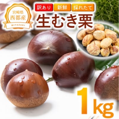 【訳あり】 新鮮朝どれ 国産生むき栗 1kg 西都市産【先行受付】[3116]